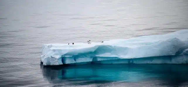 Pourquoi dit-on l’océan Arctique et le continent Antarctique ?